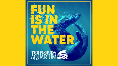 Florida Aquarium Summer 22