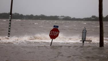 Hurricane Debby: Storm washes $1M in cocaine ashore 