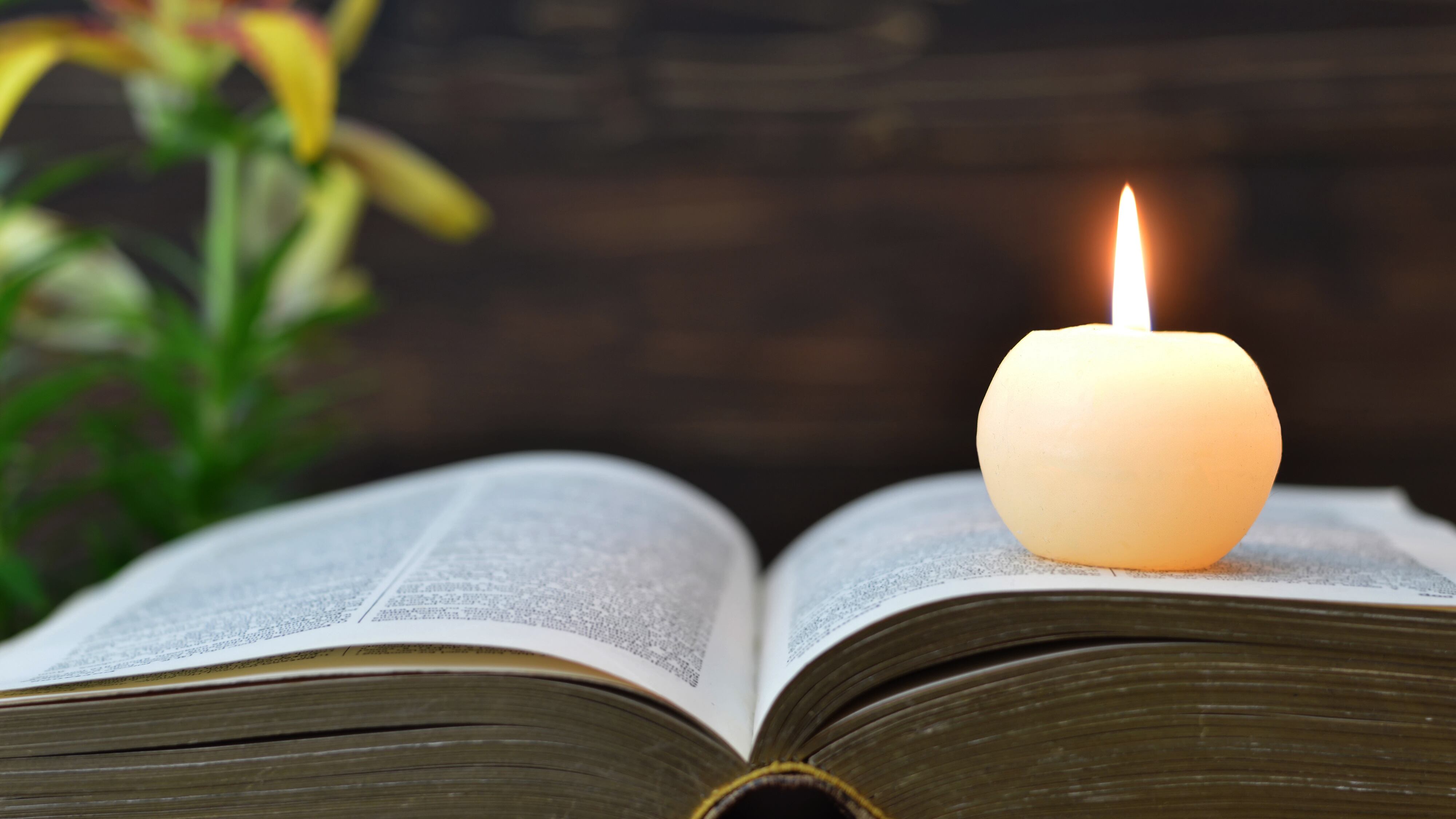 Candle, book and flowers on wooden background