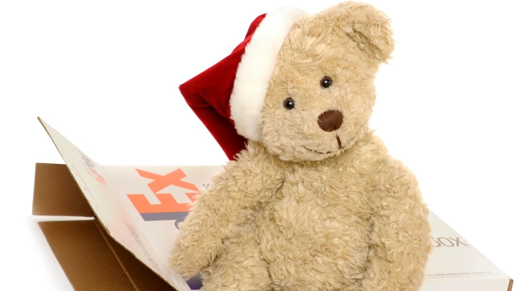 Teddy bear
